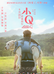 亚洲巨乳av